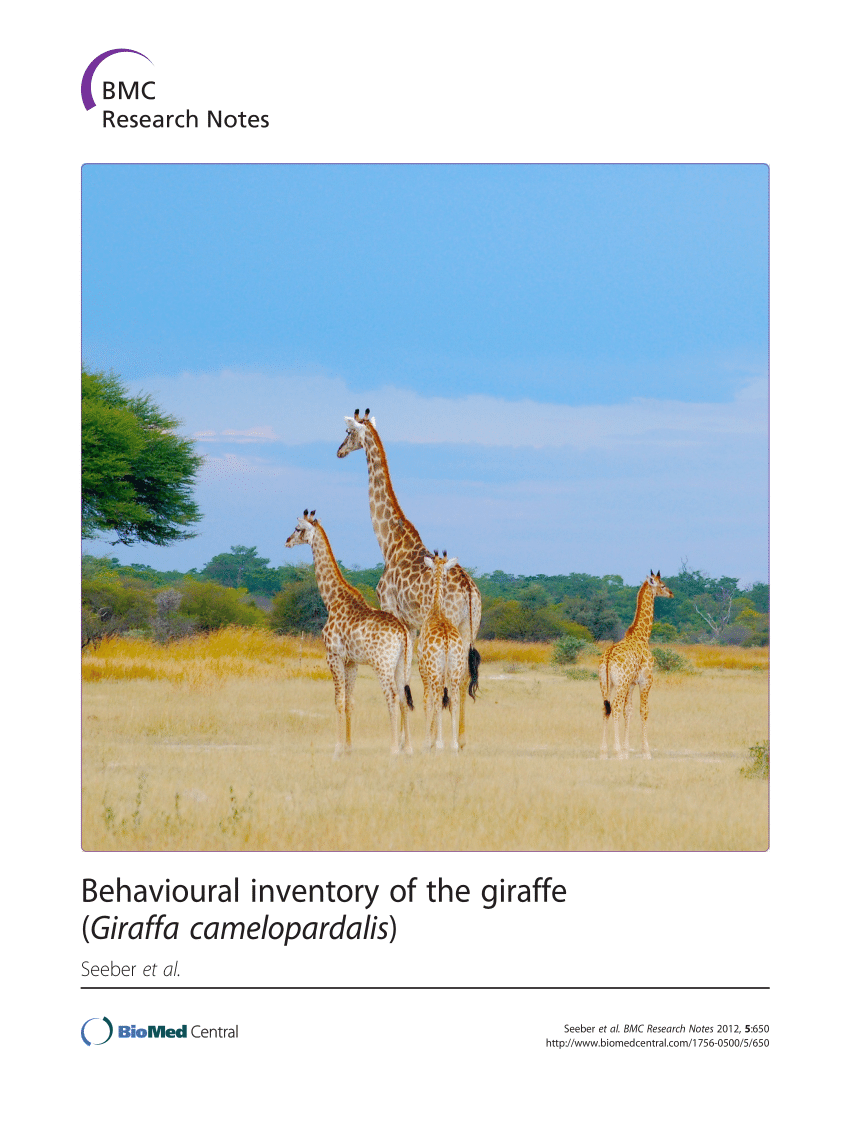 giraffe husbandry manual