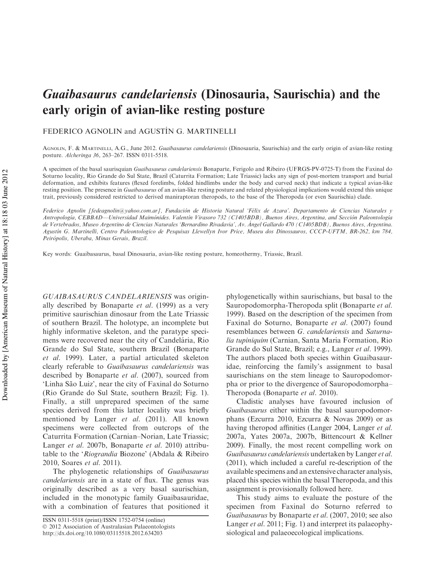 Pdf Guaibasaurus Candelariensis Dinosauria Saurischia And The Early Origin Of Avian Like Resting Posture