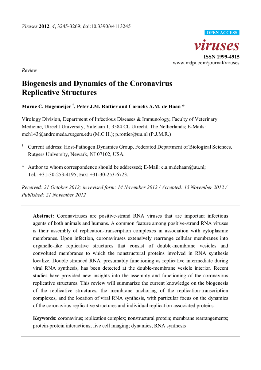 Pdf Biogenesis And Dynamics Of The Coronavirus Replicative Structures