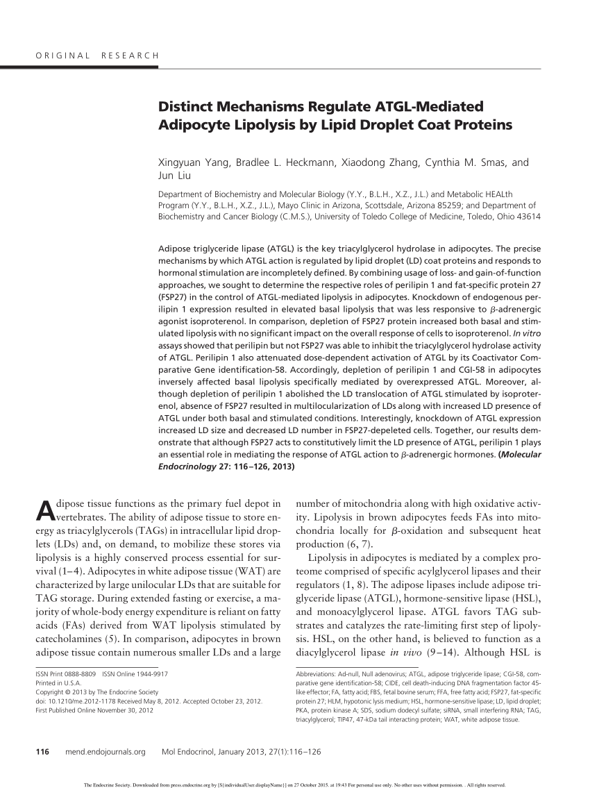 Pdf Distinct Mechanisms Regulate Atgl Mediated Adipocyte Lipolysis By Lipid Droplet Coat Proteins
