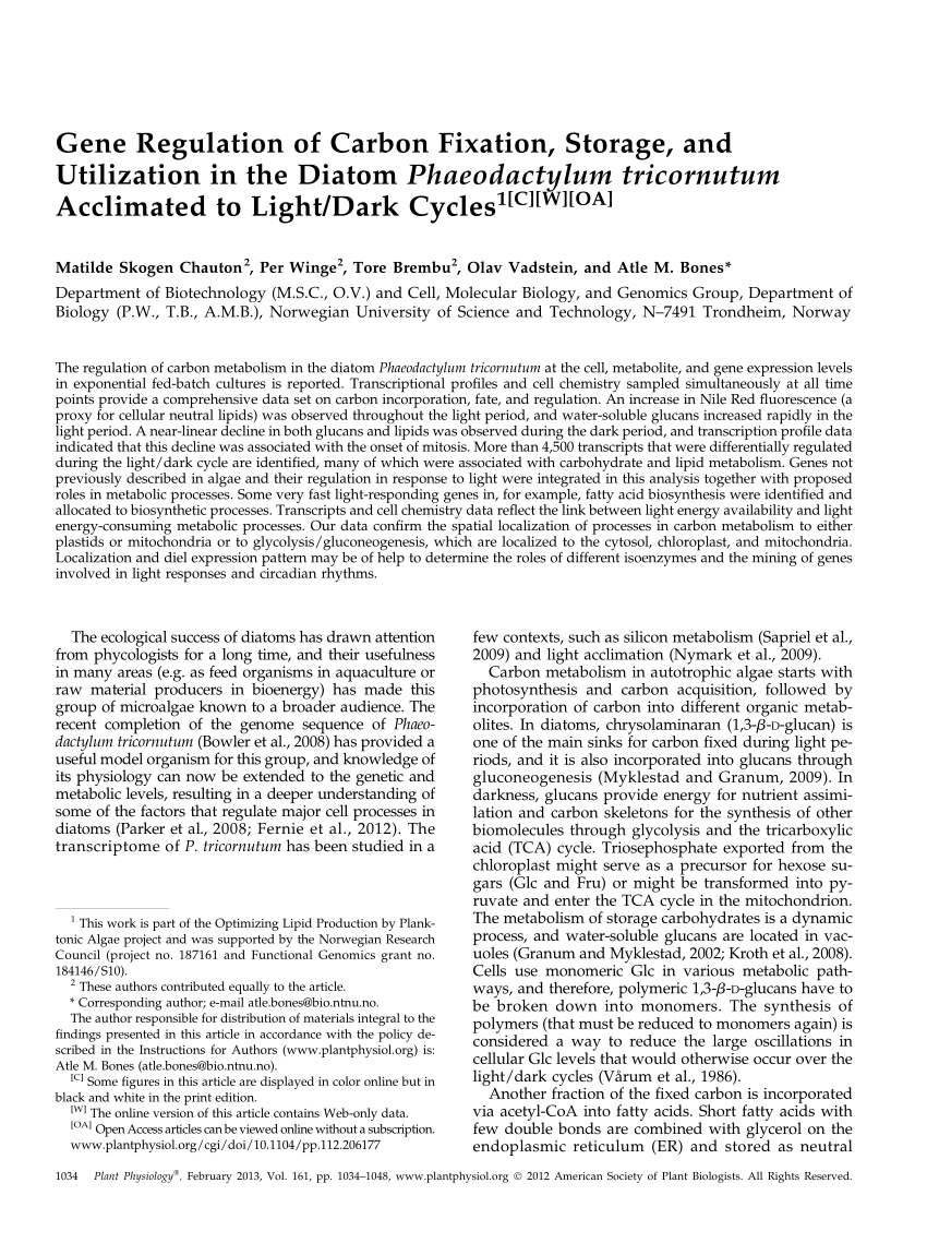 Pdf Gene Regulation Of Carbon Fixation Storage And Utilization In The Diatom Phaeodactylum Tricornutum Acclimated To Light Dark Cycles