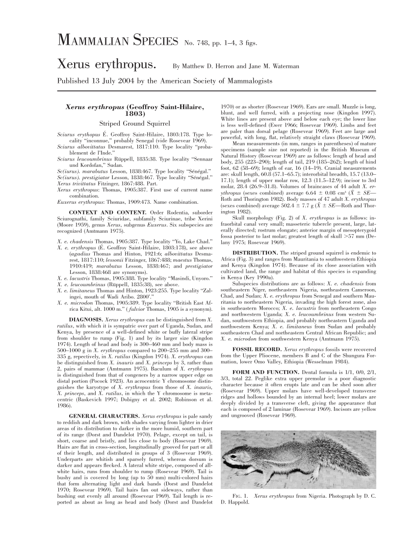 Pdf Xerus Erythropus