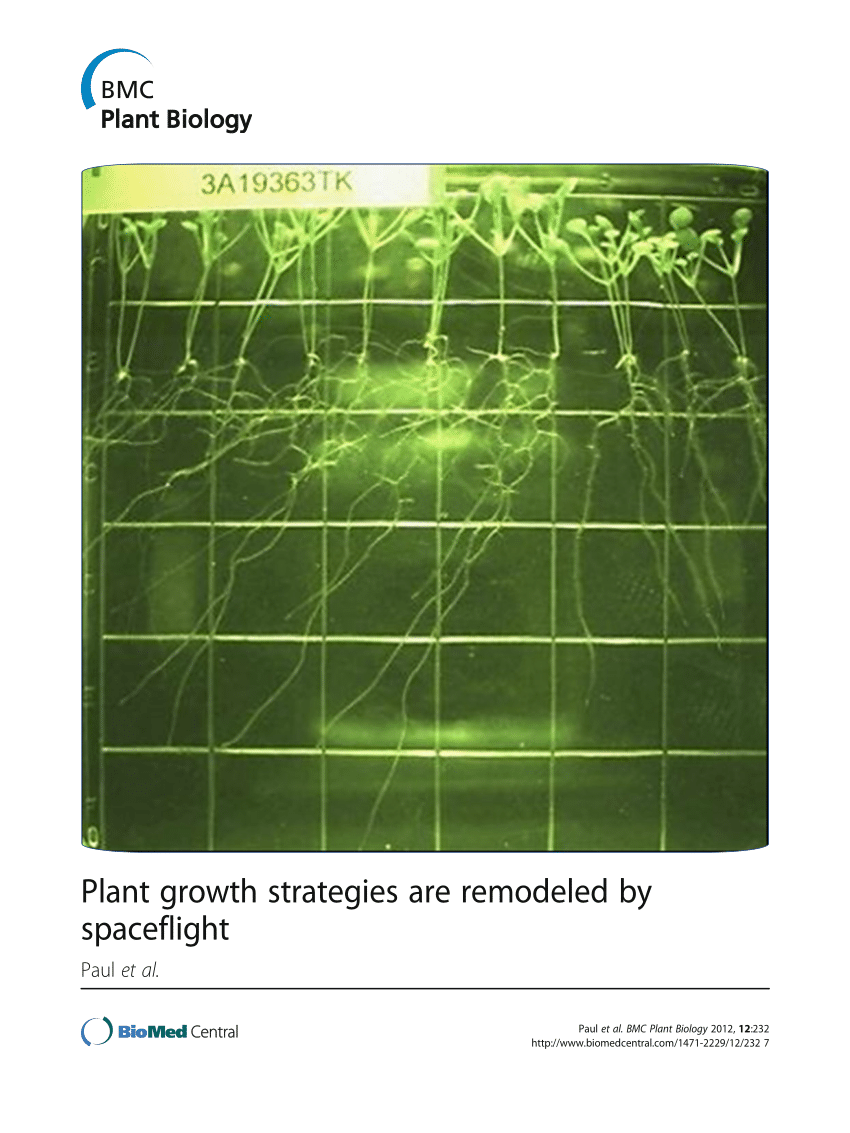 (PDF) Plant growth strategies are remodeled by spaceflight