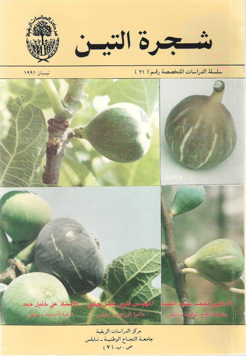 the fig tree essay