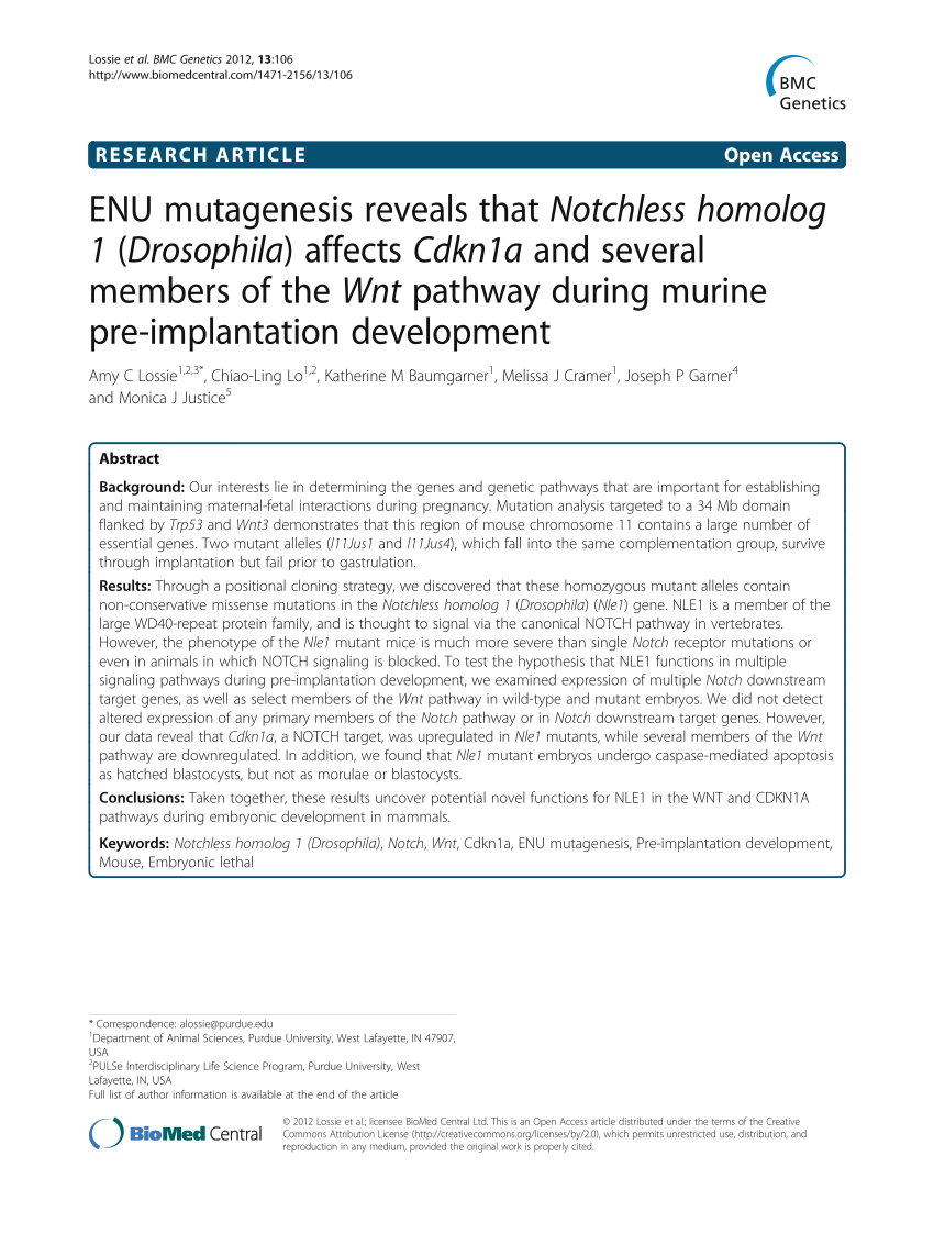 H19-315-ENU Latest Test Simulations