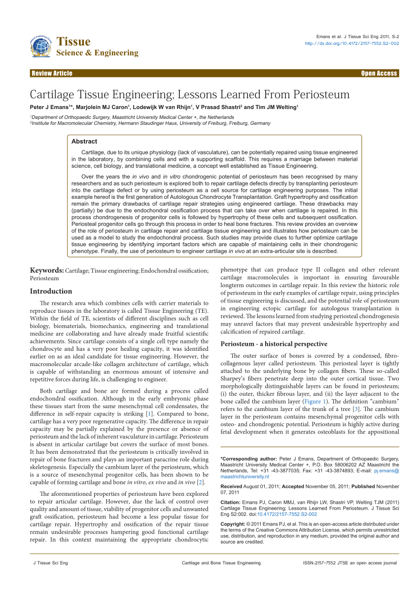 Pdf Cartilage Tissue Engineering Lessons Learned From Periosteum