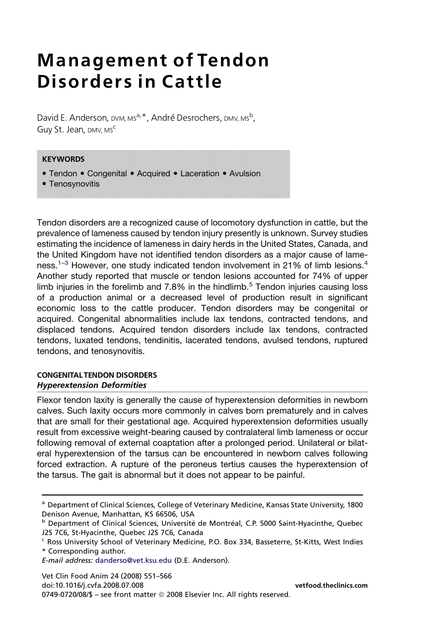 Pdf Management Of Tendon Disorders In Cattle