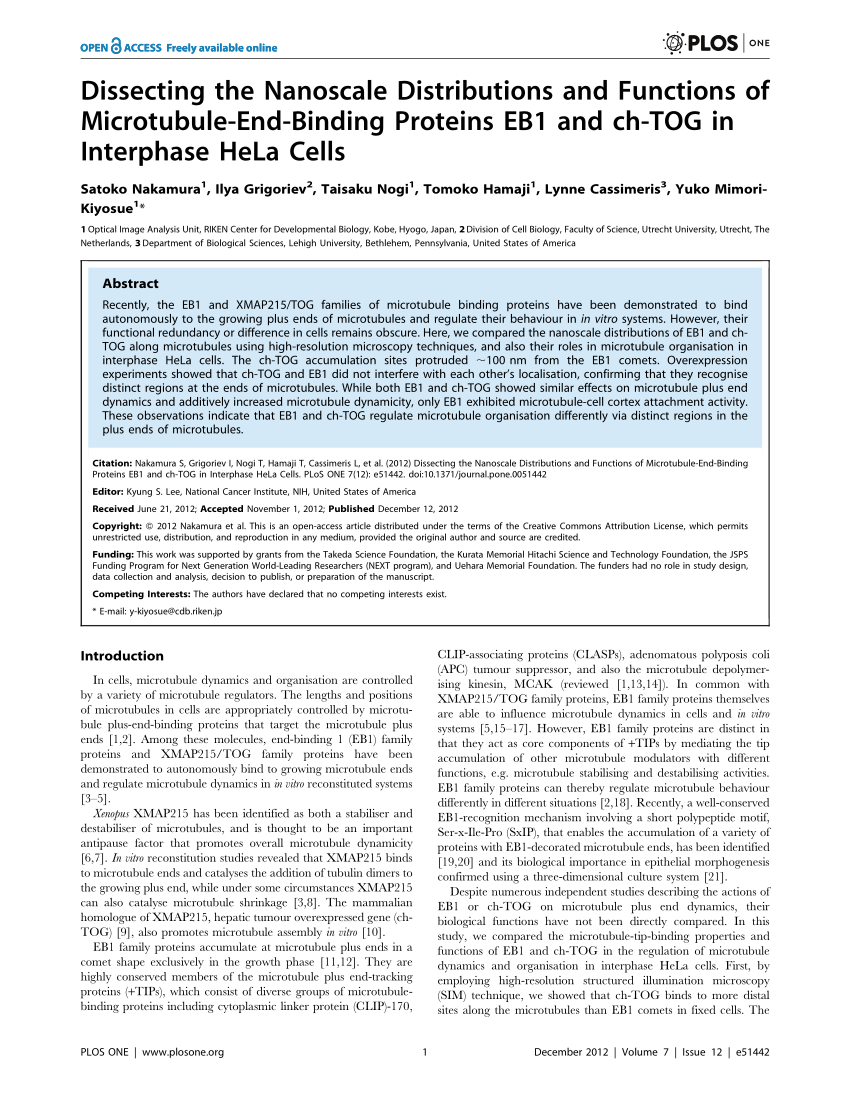 Pdf Dissecting The Nanoscale Distributions And Functions Of Microtubule End Binding Proteins Eb1 And Ch Tog In Interphase Hela Cells