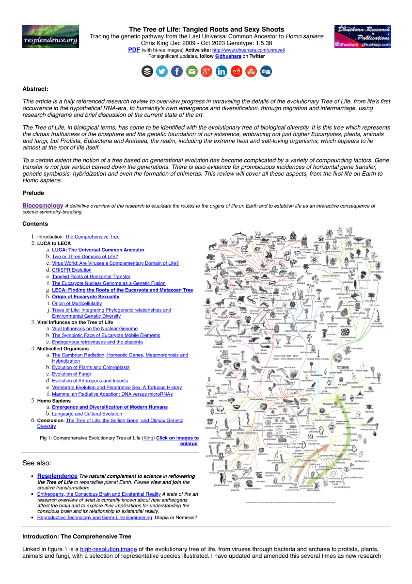 If you refer to your breast size solely by the cup letter (I was a C cup  by 15) this post is for you. : r/TwoXChromosomes