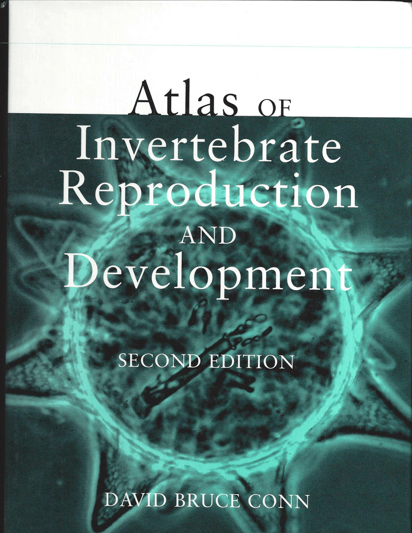 Pdf Atlas Of Invertebrate Reproduction And Development Second Edition 3156