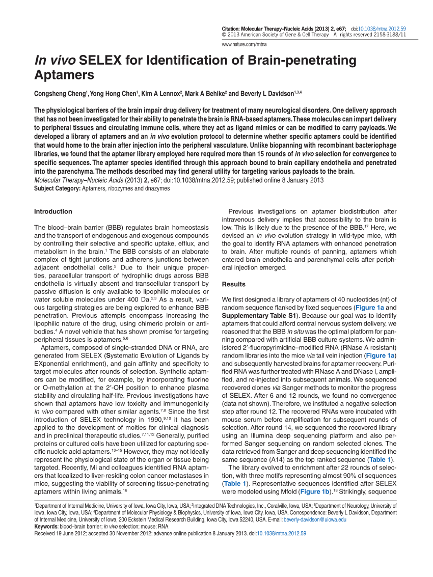 PDF) In vivo SELEX for Identification of Brain-penetrating Aptamers