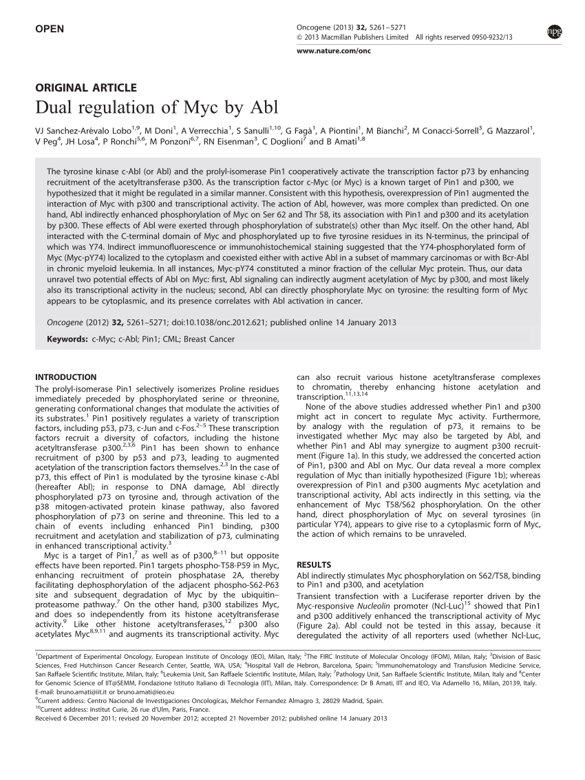 PDF Dual regulation of Myc by Abl