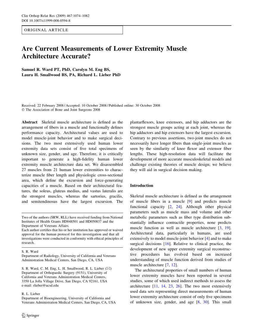 Pdf Are Current Measurements Of Lower Extremity Muscle Architecture Accurate