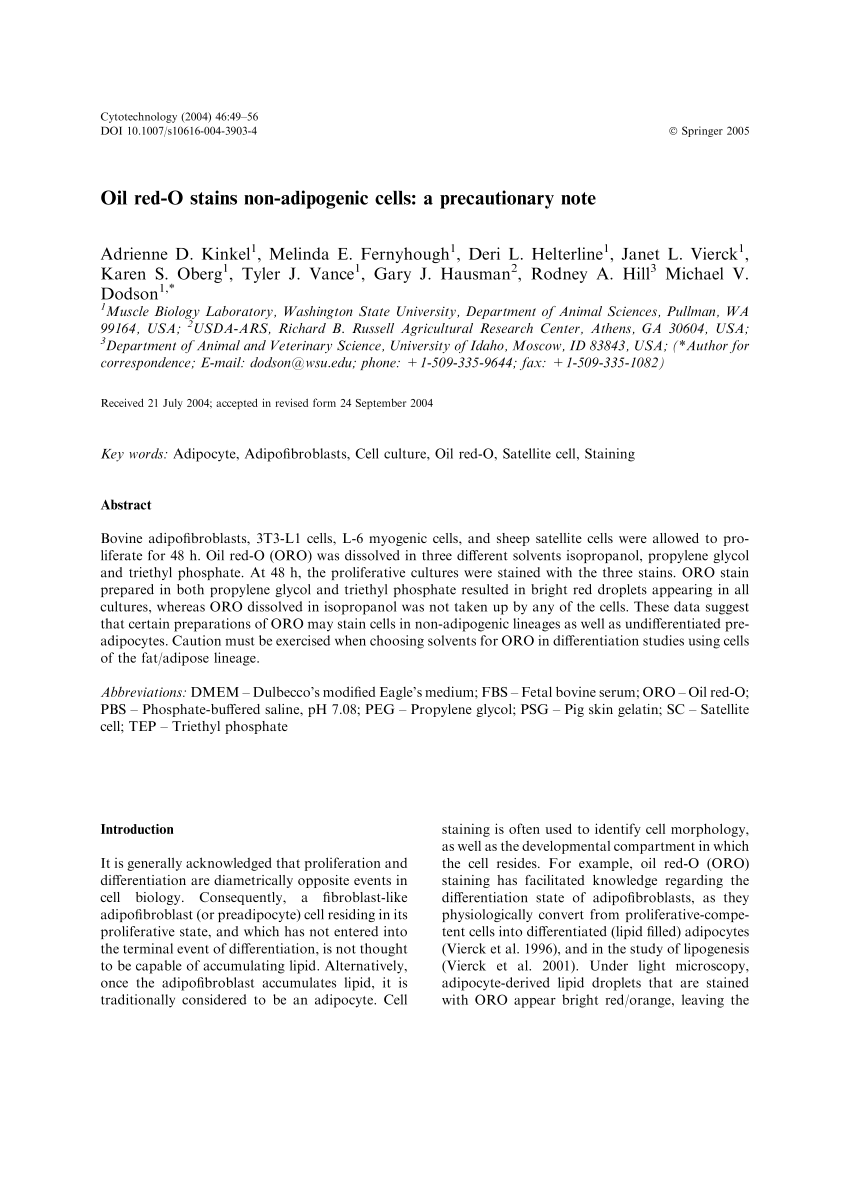 Pdf Oil Red O Stains Non Adipogenic Cells