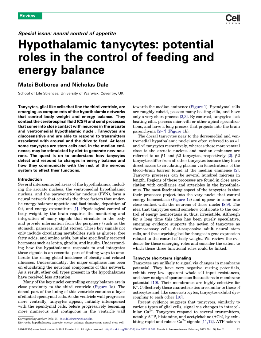 Role of hypothalamic tanycytes in nutrient sensing and energy balance, Proceedings of the Nutrition Society