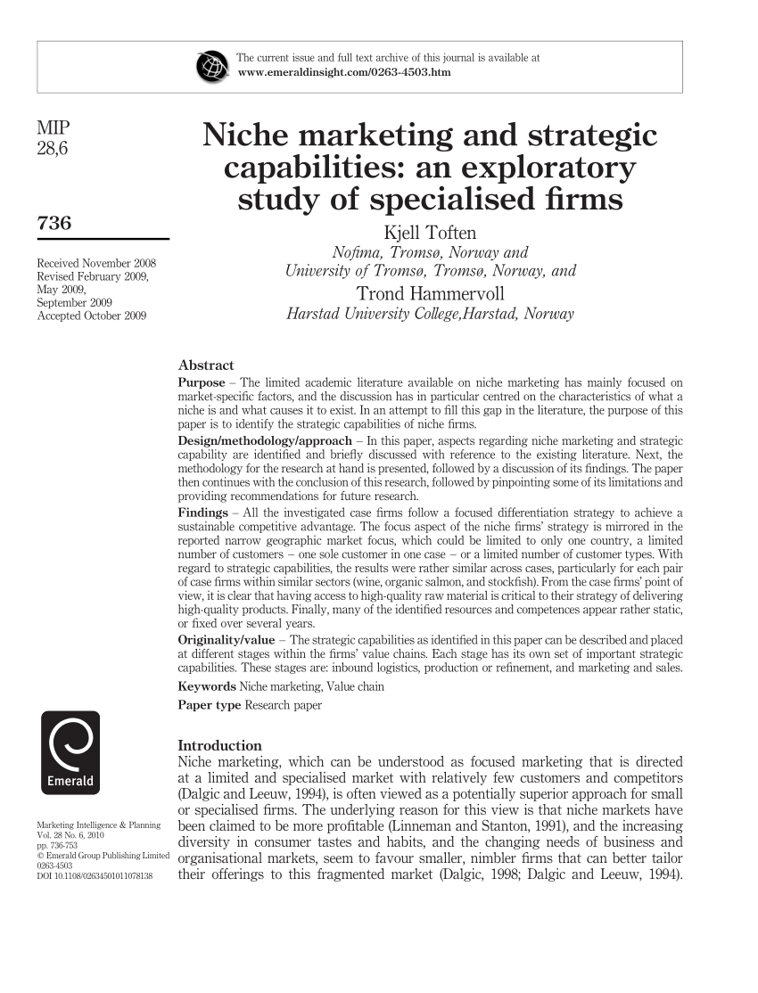 niche marketing thesis