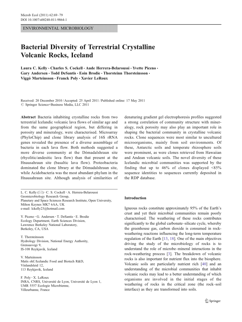 PDF Bacterial diversity of terrestrial crystalline volcanic rocks