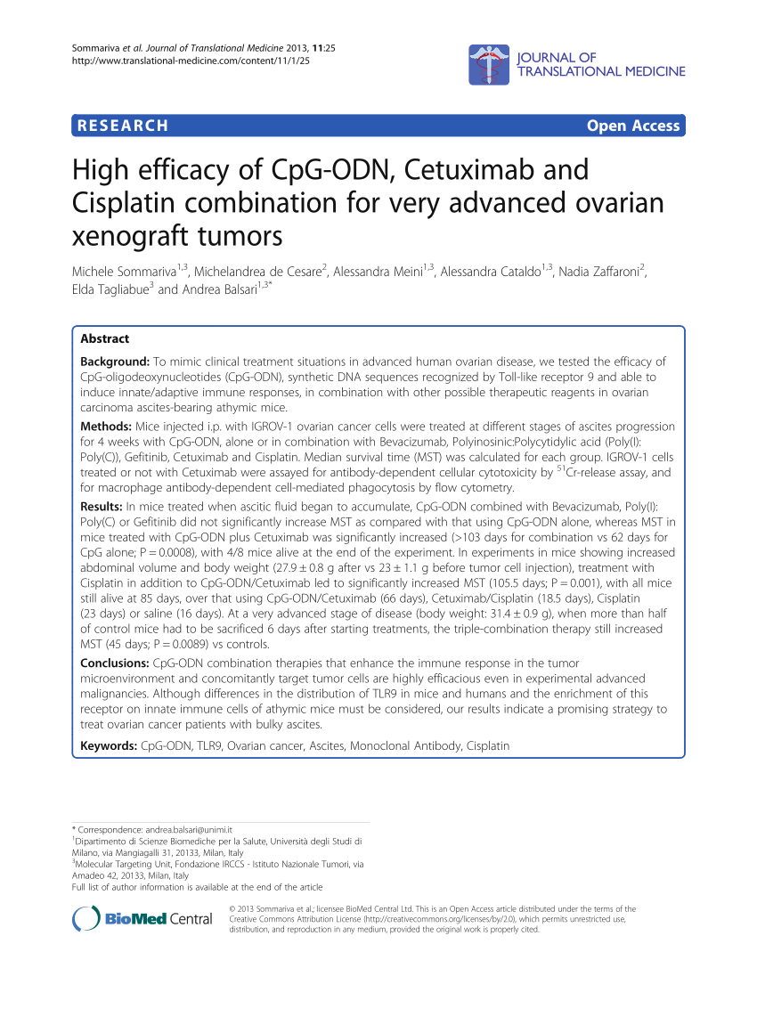 CIS-CPG Übungsmaterialien