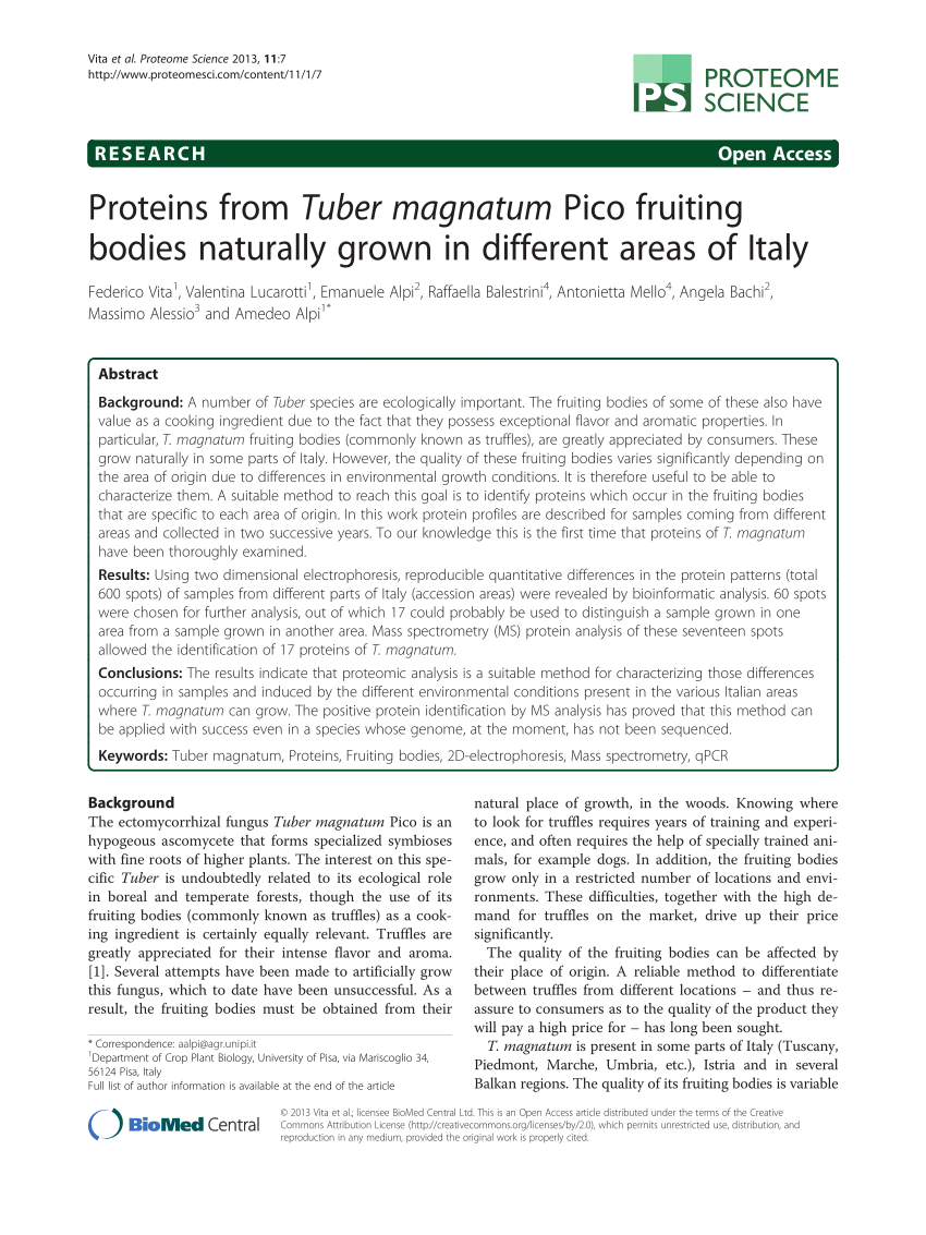 (PDF) Proteins from Tuber magnatum Pico fruiting bodies naturally grown ...