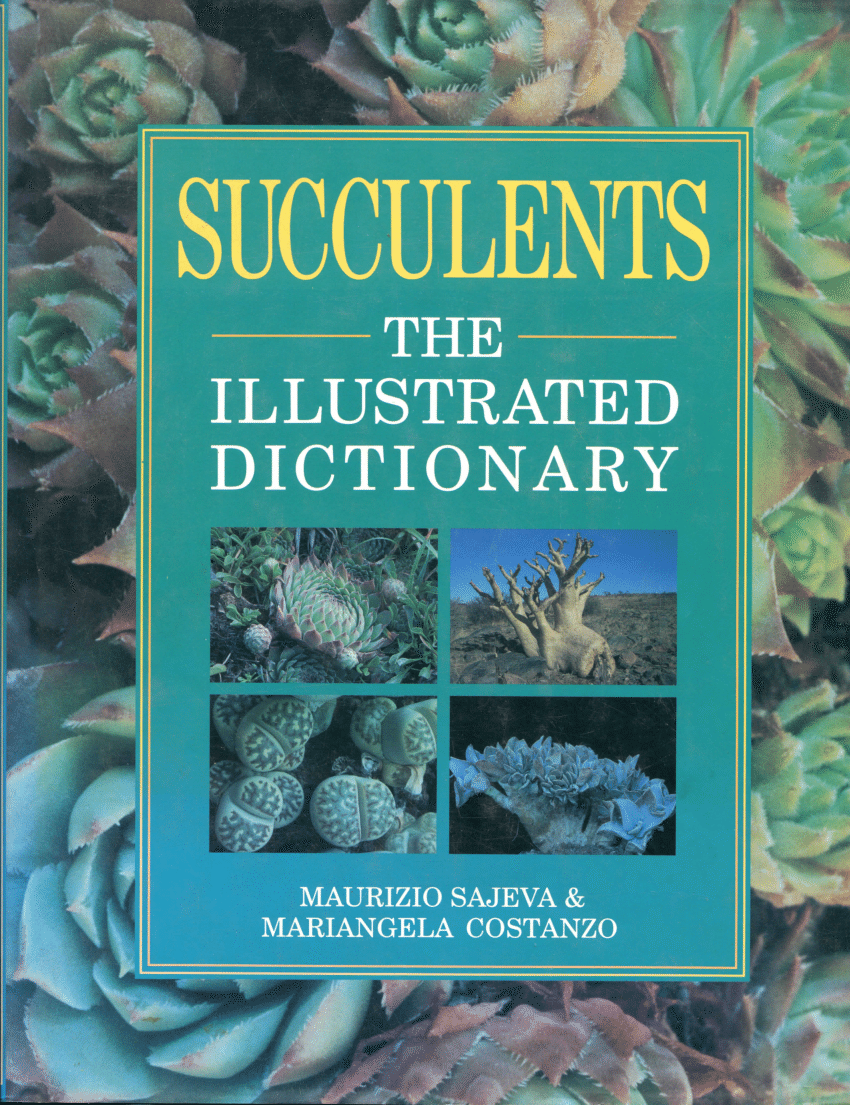 Succulent Identification Chart