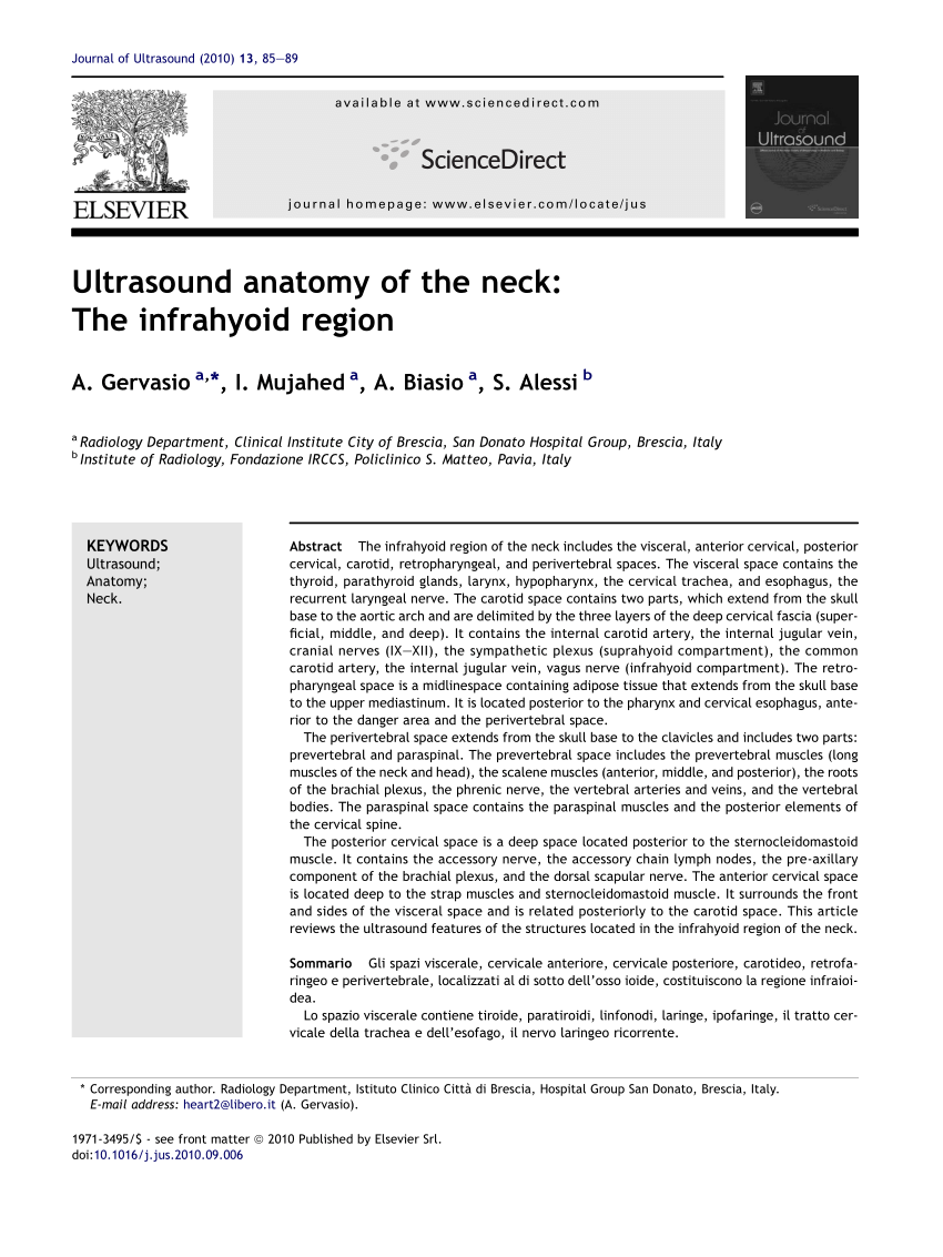Pdf Ultrasound Anatomy Of The Neck The Infrahyoid Region