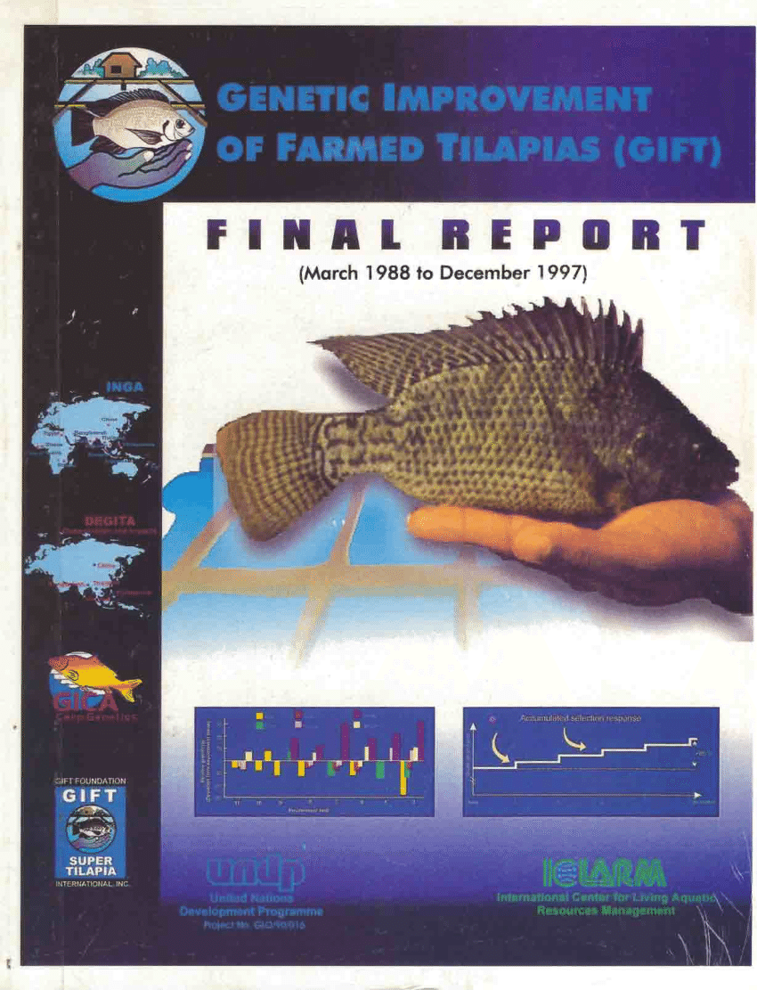 Solutions for tilapia streptococcal disease in summer