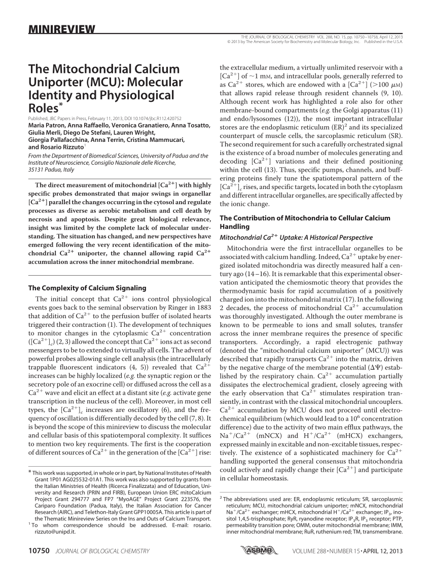 PDF) The Mitochondrial Calcium Uniporter (MCU): Molecular Identity