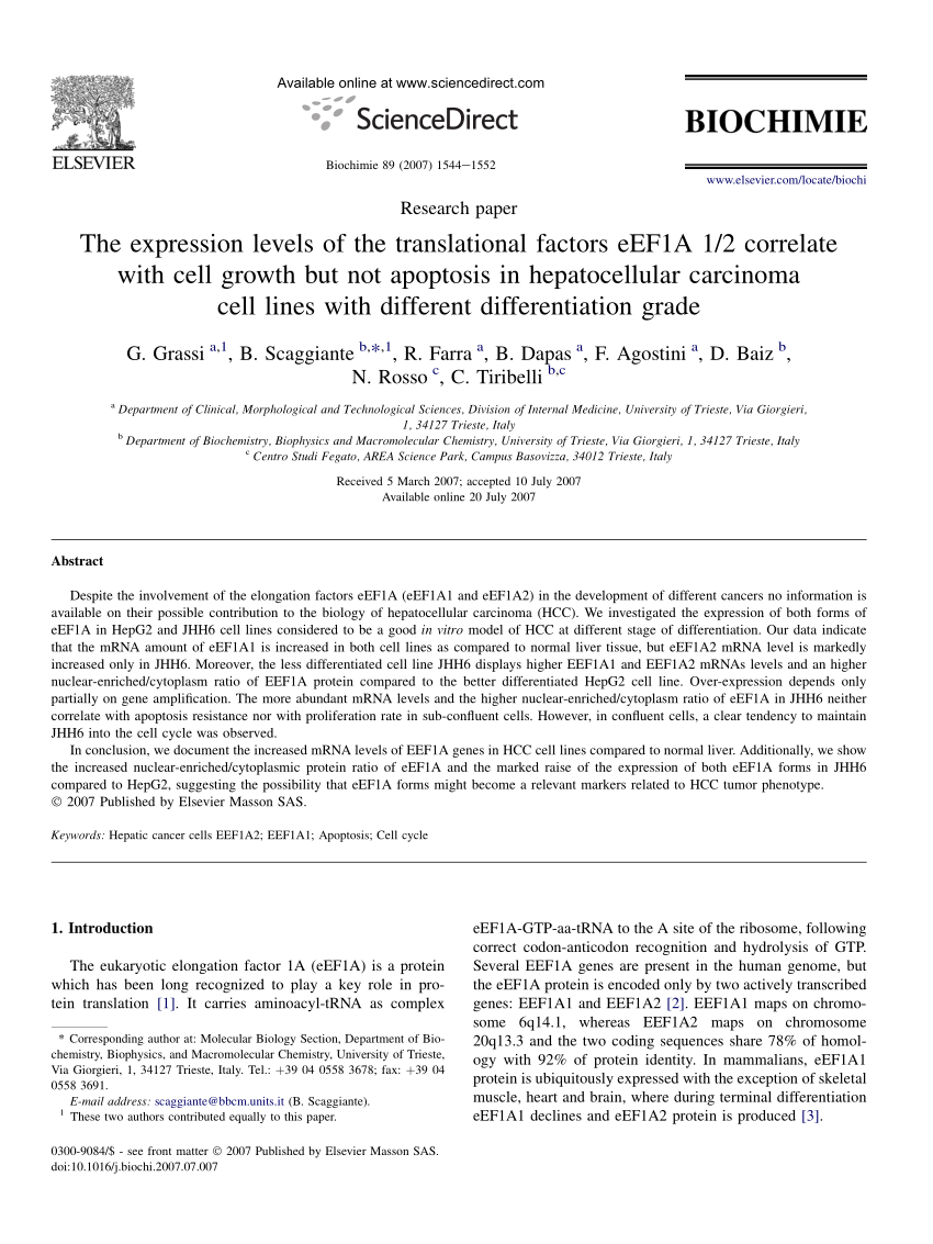 Pdf Bortezomib Arrests The Proliferation Of Hepatocellular