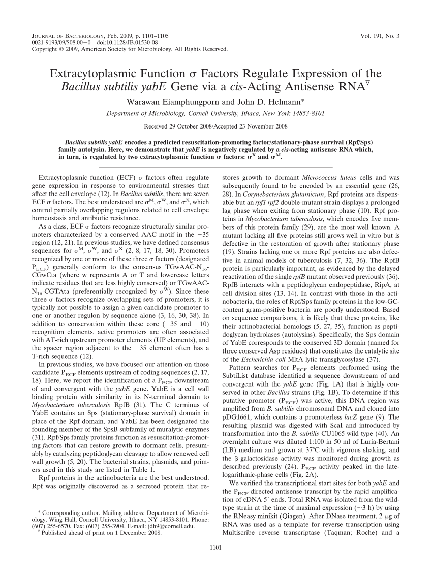 (PDF) Extracytoplasmic Function σ Factors Regulate Expression of the Sns-Brigh10