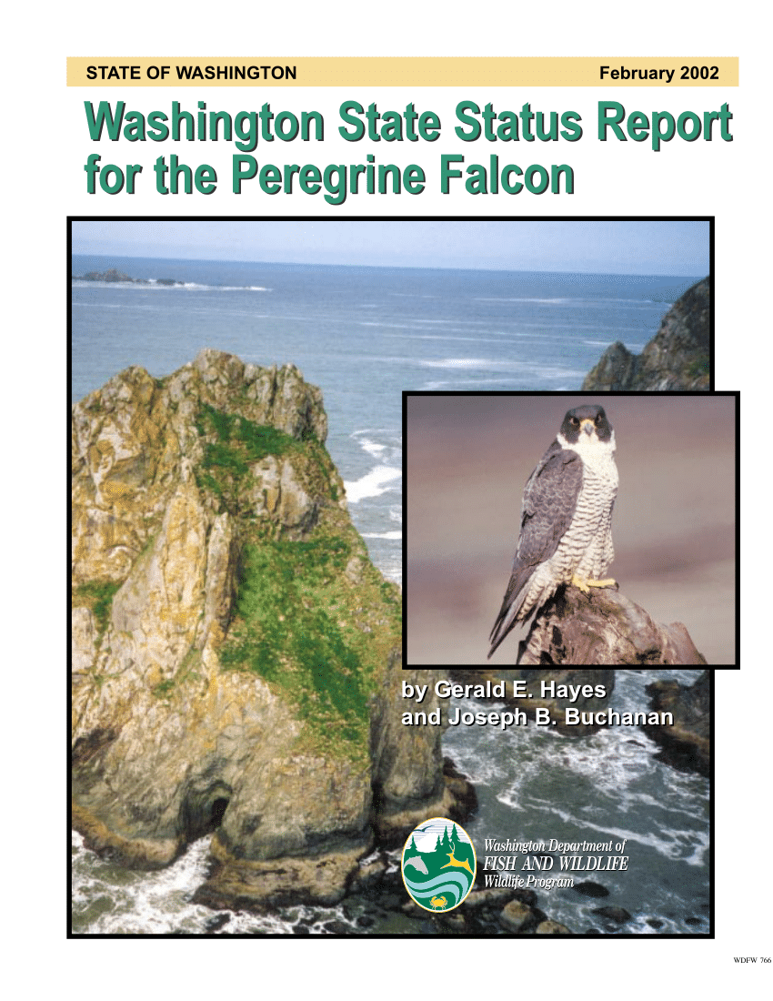 PDF) Washington State Status Report for the Peregrine Falcon