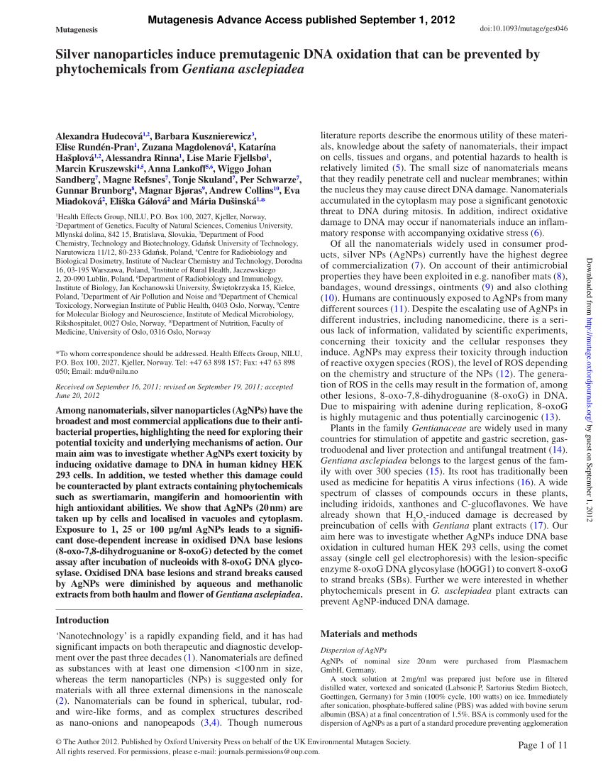 Pdf Silver Nanoparticles Induce Premutagenic Dna Oxidation That