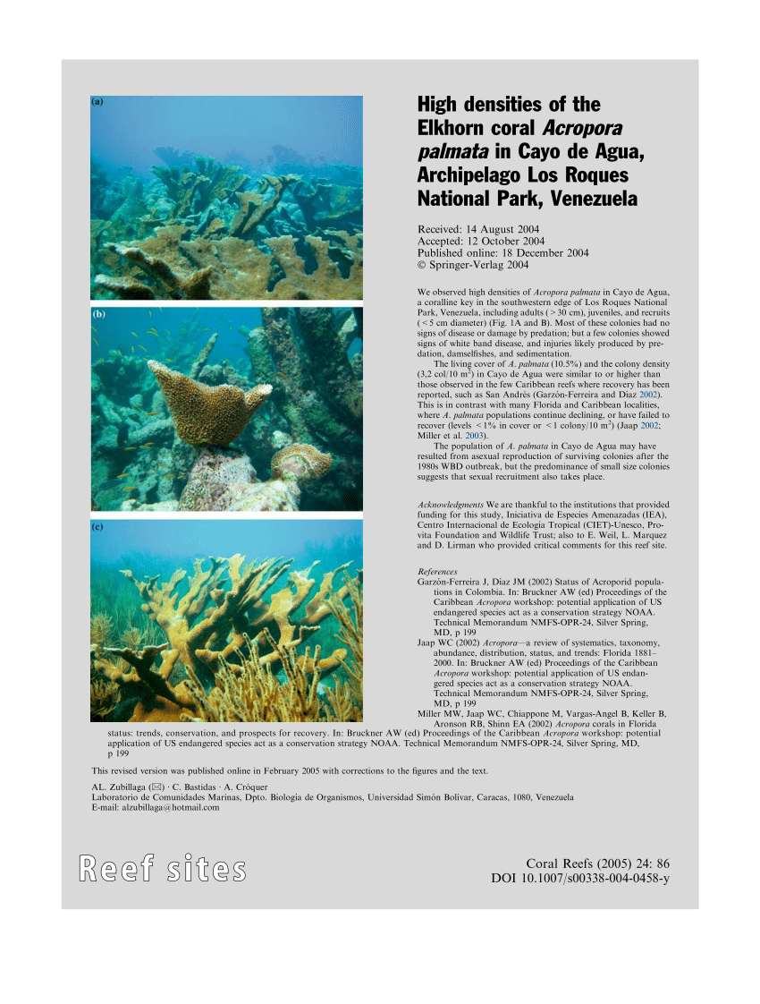 Pdf High Densities Of The Elkhorn Coral Acropora Palmata In Cayo De