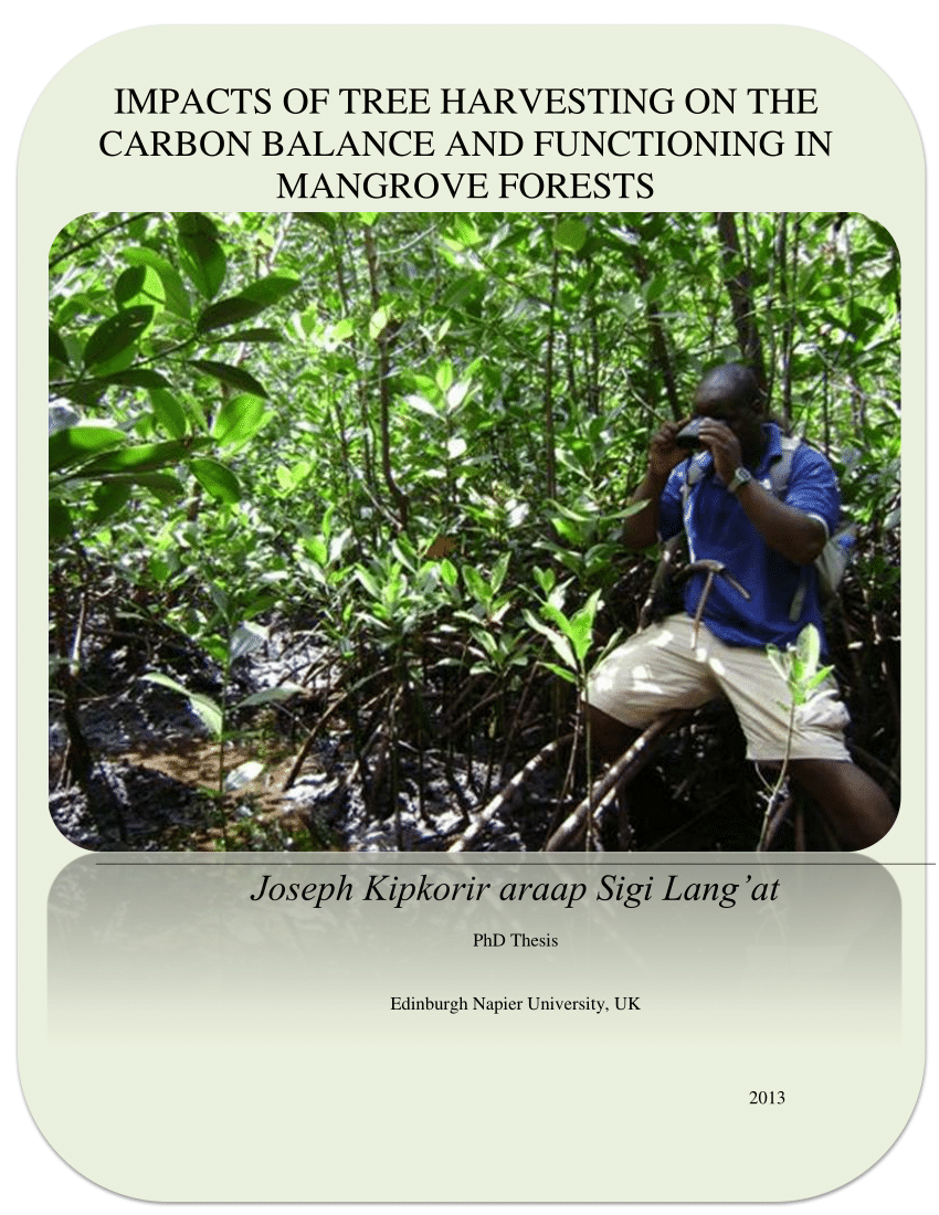 dissertation on ecosystem