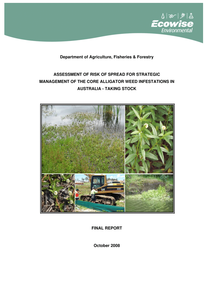 research paper on alligator weed