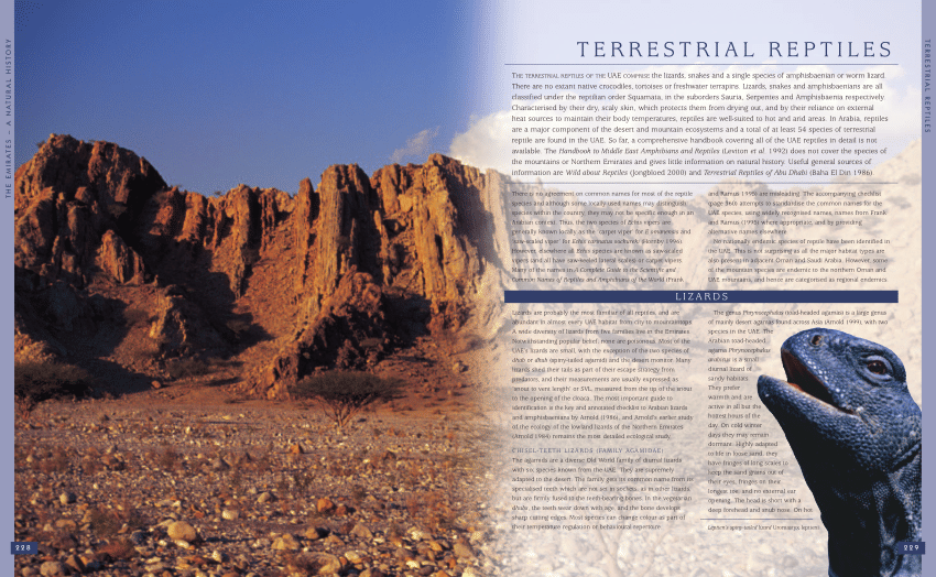 PDF) Terrestrial reptiles