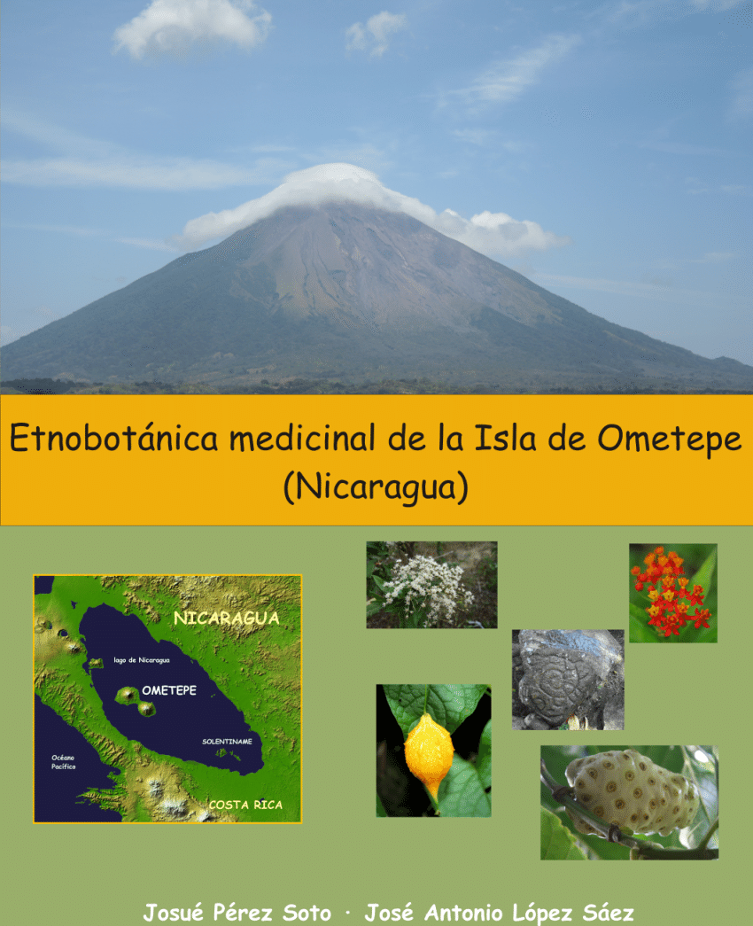 Pdf Etnobotanica Medicinal De La Isla De Ometepe Nicaragua
