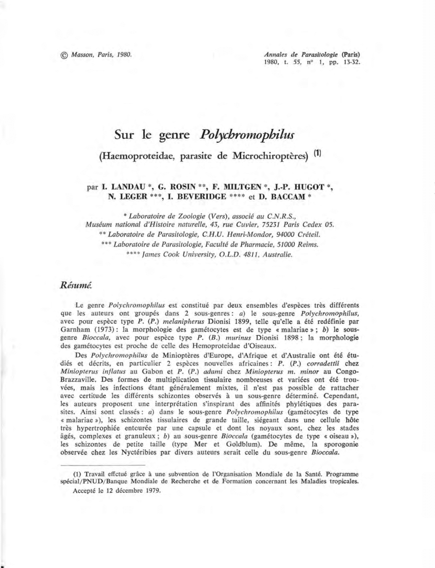 Pdf The Genus Polychromophilus Haemoproteidae Parasite Of Microchiroptera