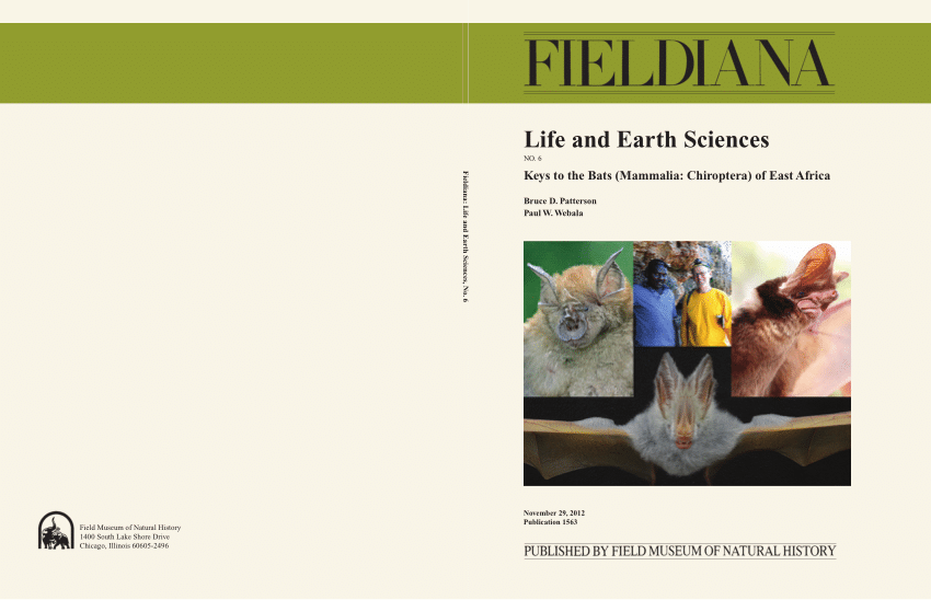 PDF) Keys to the Bats (Mammalia: Chiroptera) of East Africa