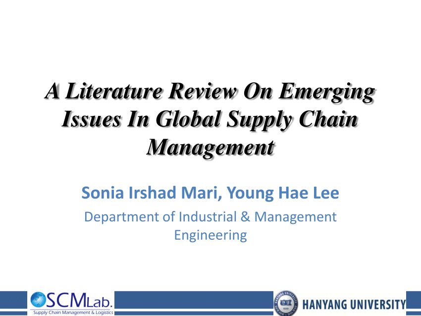 supply chain finance a literature review