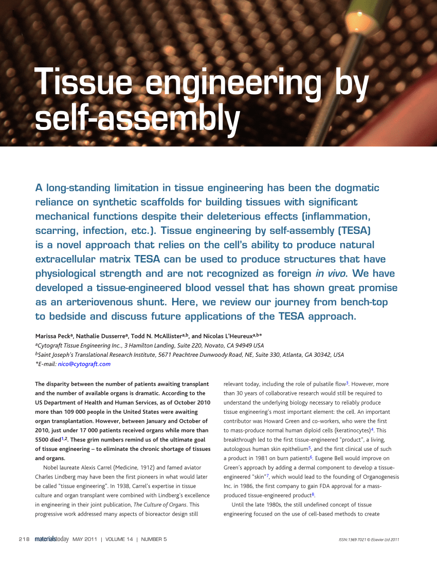 tissue engineering research articles