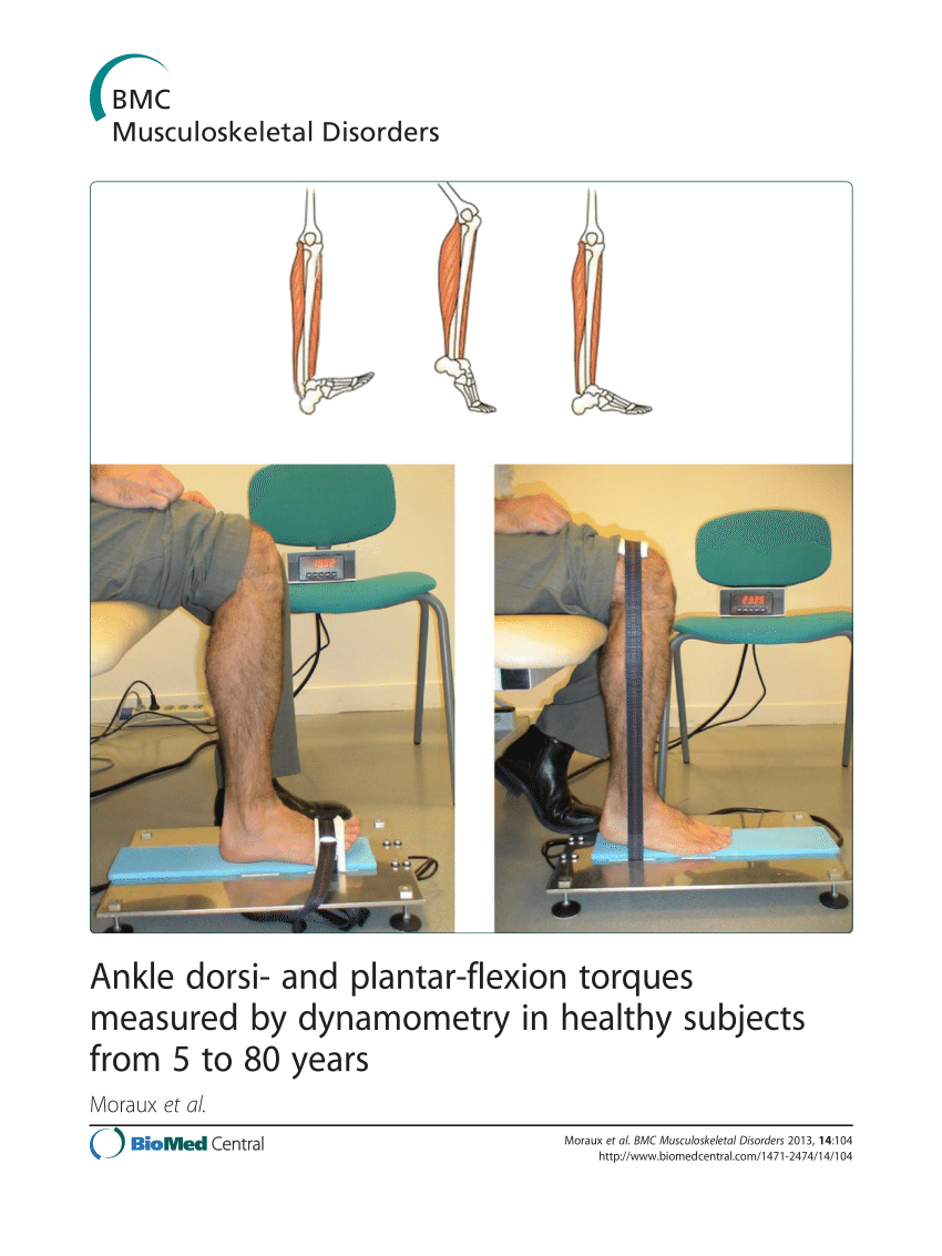 PDF) Ankle dorsi- and plantar-flexion torques measured by