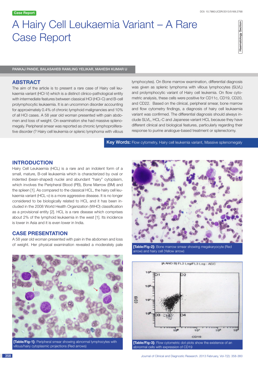 leukaemia research reports