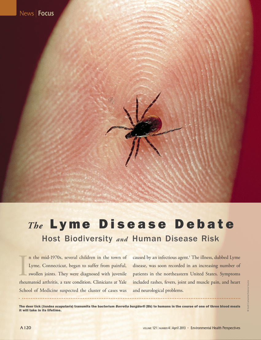 new research lyme disease