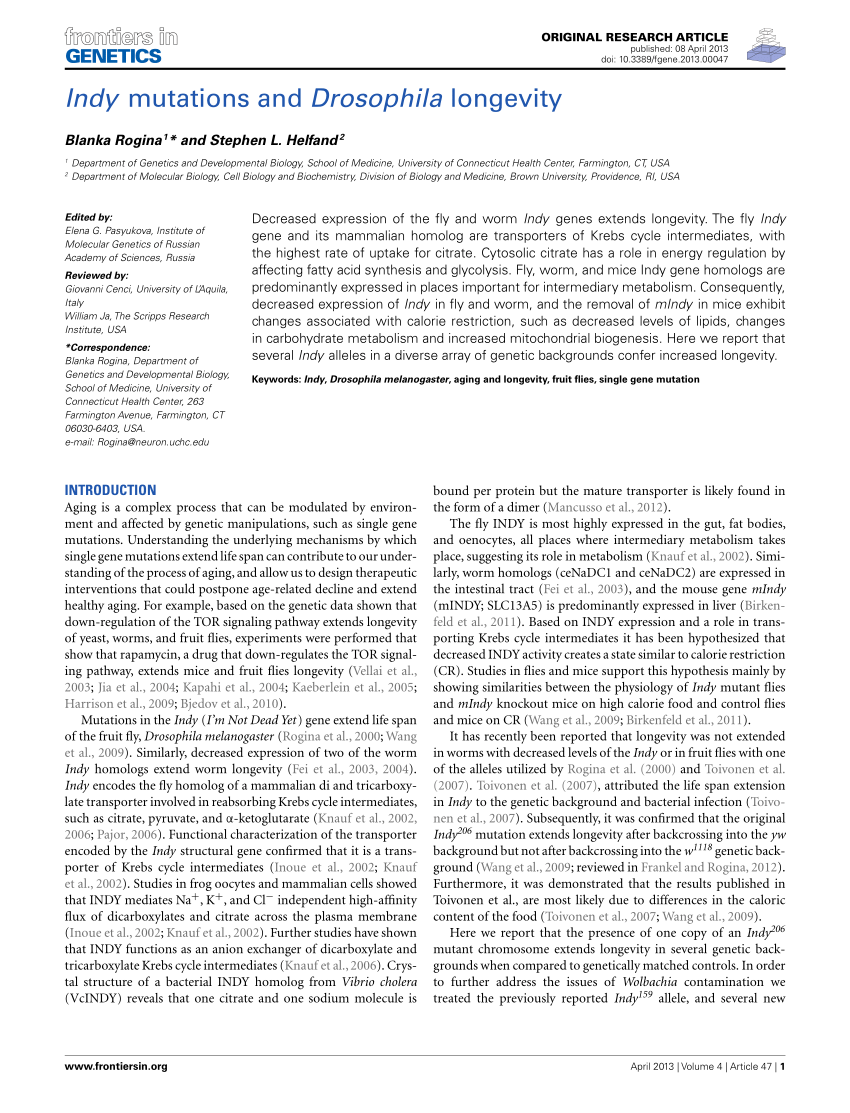 Pdf Indy Mutations And Drosophila Longevity