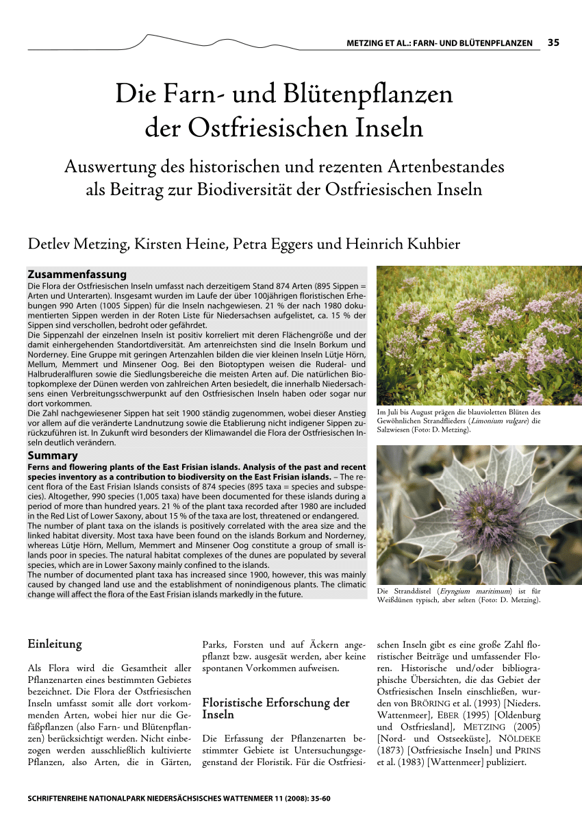 Herbarium 4 Pflanzen Korbblüter Asteraceaen mit Wurzel für Uni,Schule,Ausbildung