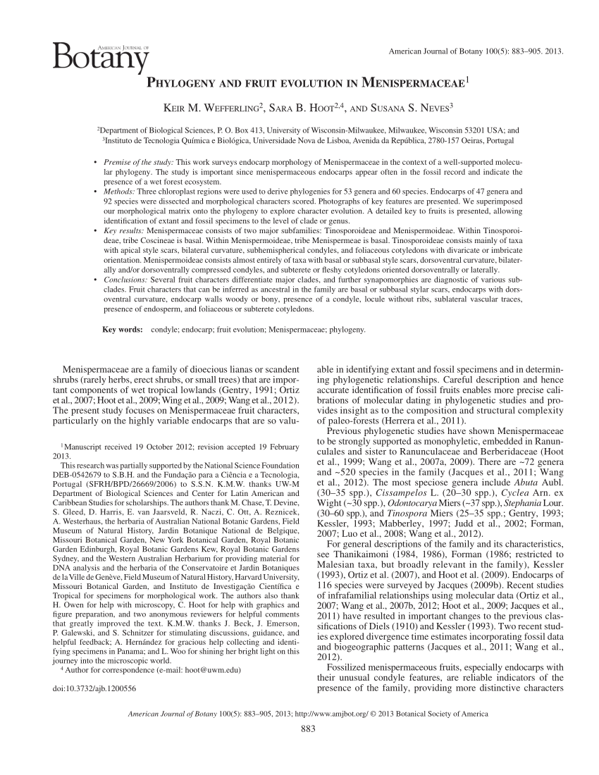 (PDF) Phylogeny and fruit evolution in Menispermaceae