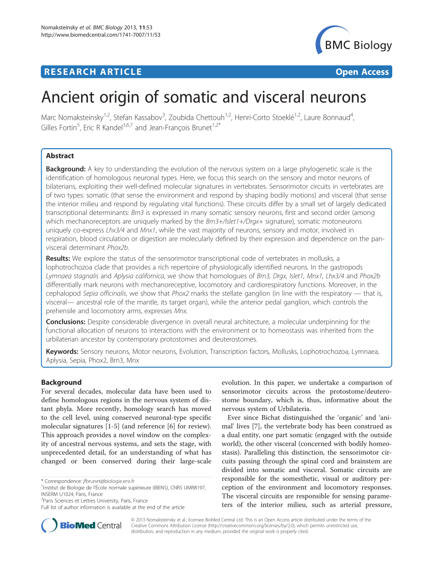 pdf ancient origin of somatic and visceral neurons