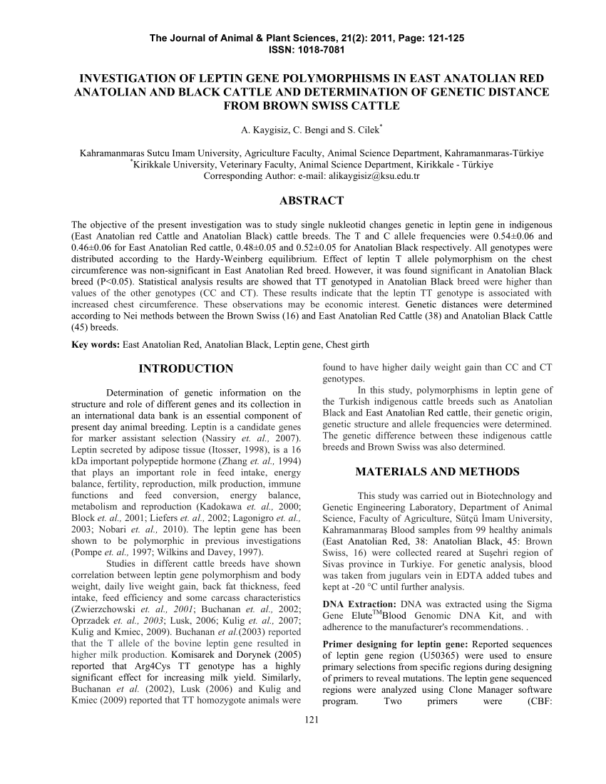 Pdf Investigation Of Leptin Gene Polymorphisms In East Anatolian Red Anatolian And Black Cattle And Determination Of Genetic Distance From Brown Swiss Cattle