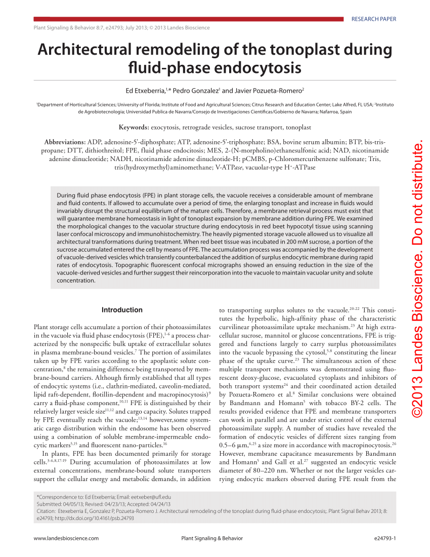 Pdf Architectural Remodeling Of The Tonoplast During Fluid Phase Endocytosis