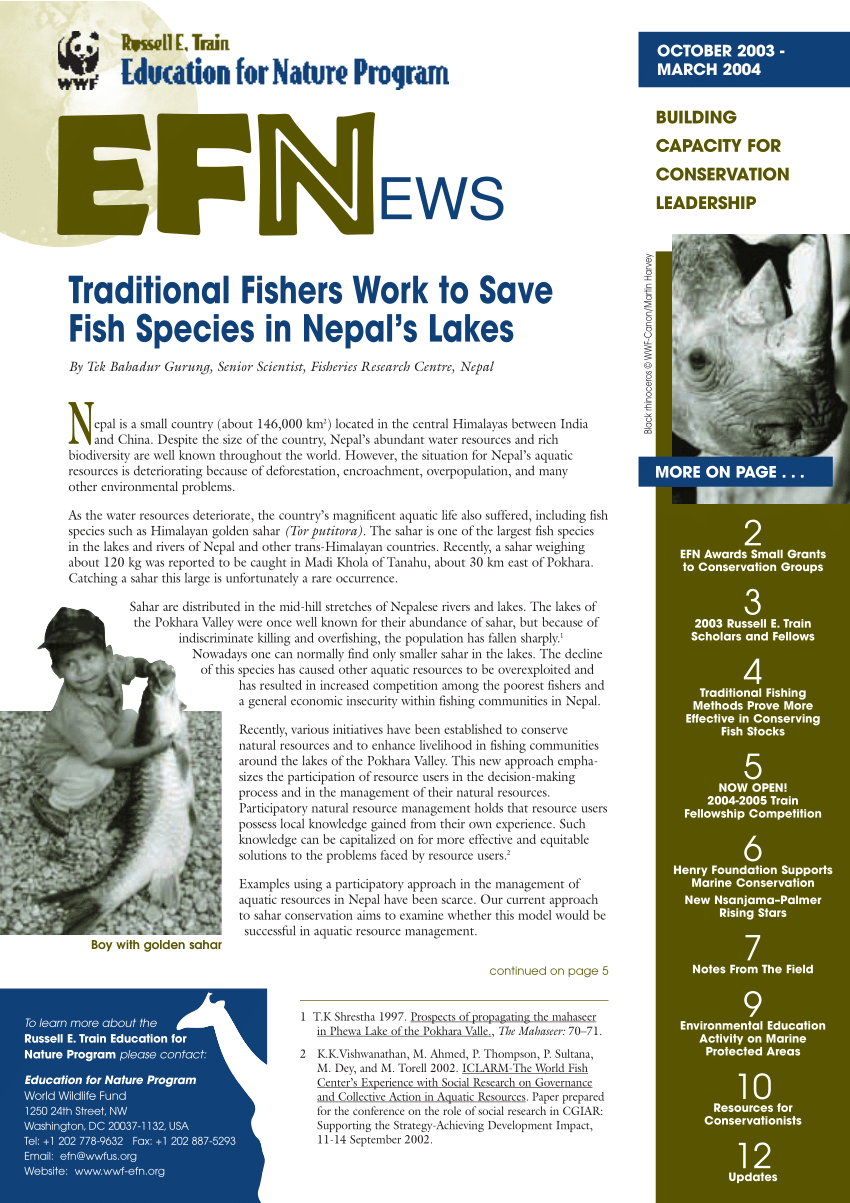 EEL Fishing Net Small Mesh Trap Fishing Trap Net Nepal